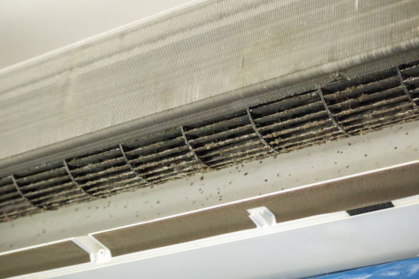 Best Affordable Duct Cleaning Services  in Sharon, MS